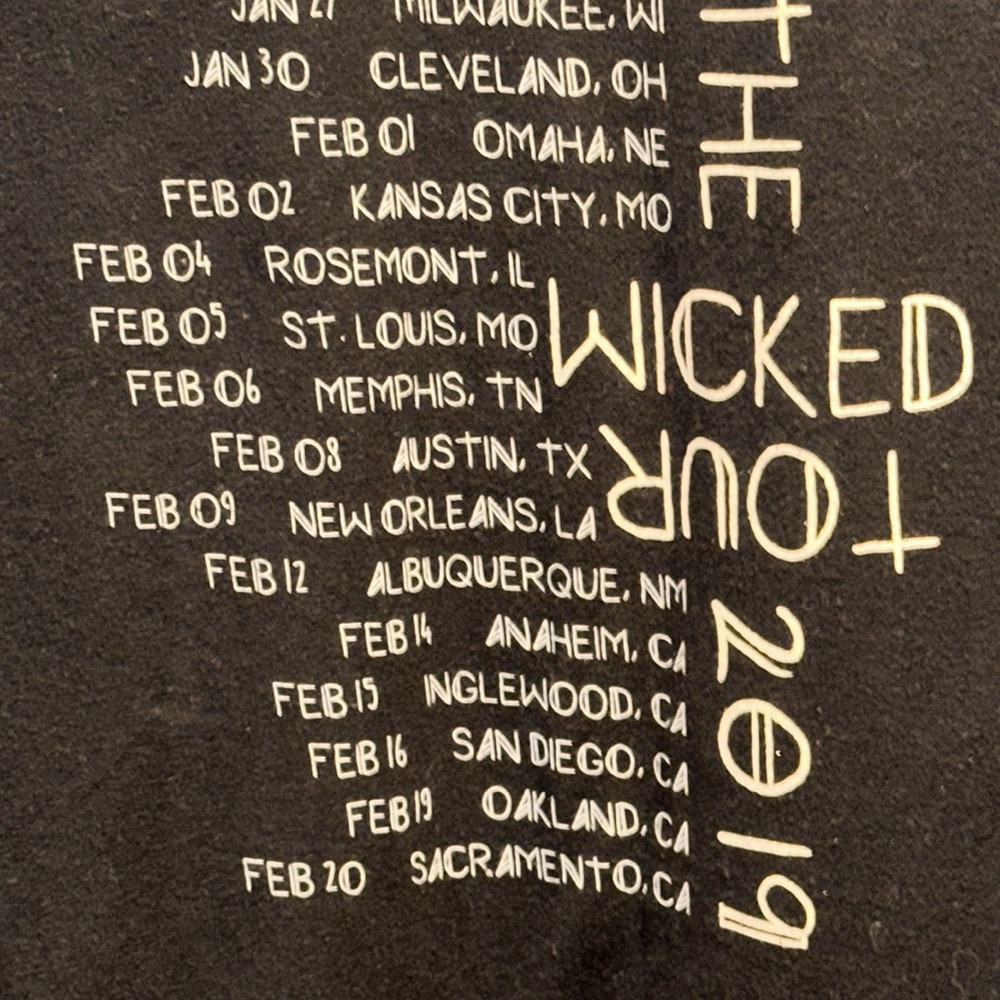 PANIC AT THE DISCO Pray For The Wicked Short Sleeve Concert Tour T-Shirt MED - Picture 6 of 6